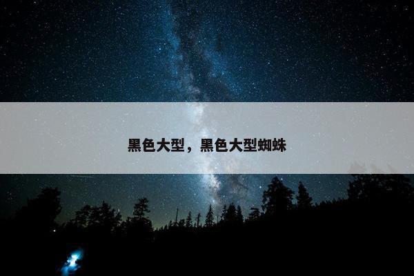 黑色大型，黑色大型蜘蛛
