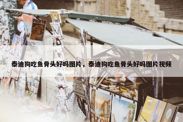 泰迪狗吃鱼骨头好吗图片，泰迪狗吃鱼骨头好吗图片视频