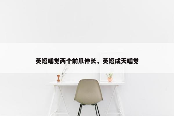 英短睡觉两个前爪伸长，英短成天睡觉