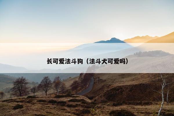 长可爱法斗狗（法斗犬可爱吗）