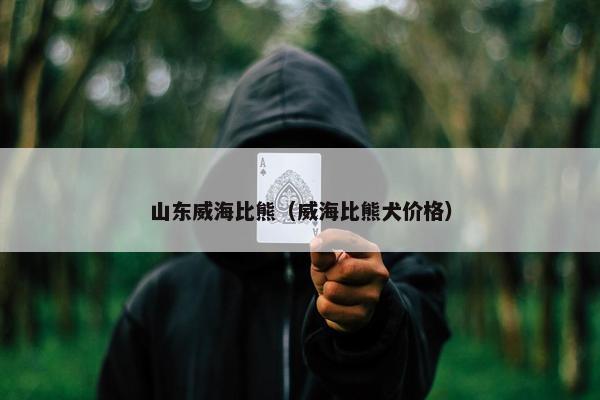 山东威海比熊（威海比熊犬价格）