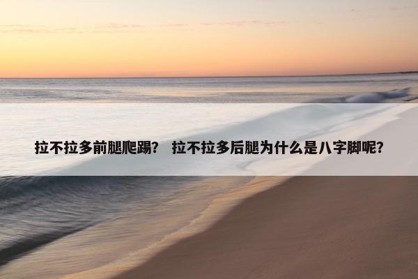 拉不拉多前腿爬踢？ 拉不拉多后腿为什么是八字脚呢？