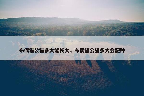 布偶猫公猫多大能长大，布偶猫公猫多大会配种
