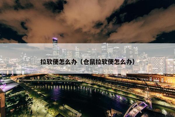 拉软便怎么办（仓鼠拉软便怎么办）