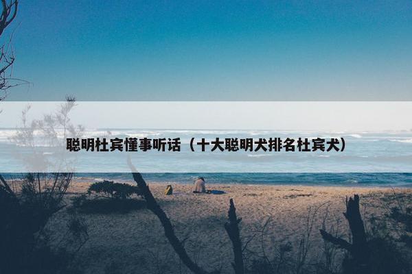 聪明杜宾懂事听话（十大聪明犬排名杜宾犬）