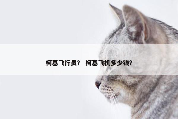 柯基飞行员？ 柯基飞机多少钱？