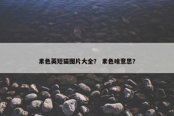 素色英短猫图片大全？ 素色啥意思？