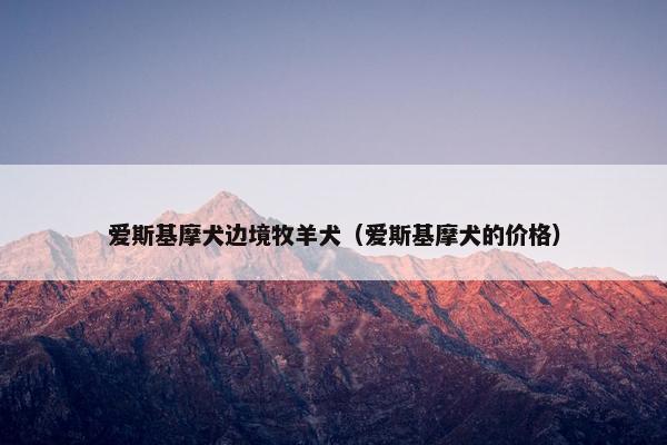 爱斯基摩犬边境牧羊犬（爱斯基摩犬的价格）
