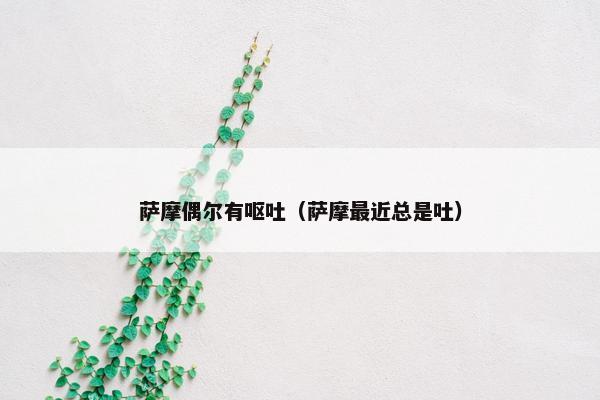 萨摩偶尔有呕吐（萨摩最近总是吐）