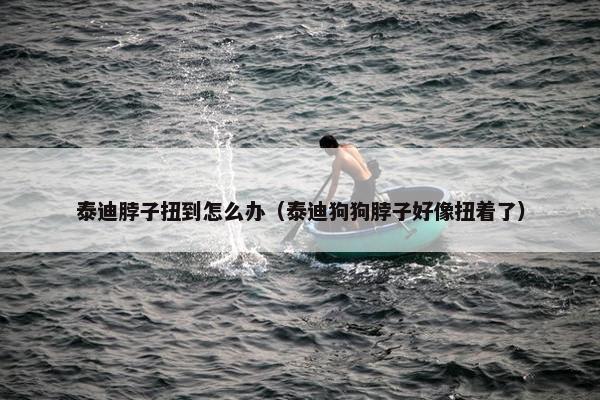 泰迪脖子扭到怎么办（泰迪狗狗脖子好像扭着了）