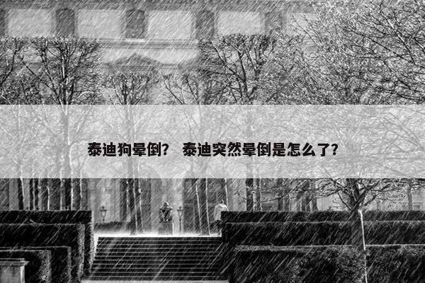 泰迪狗晕倒？ 泰迪突然晕倒是怎么了？