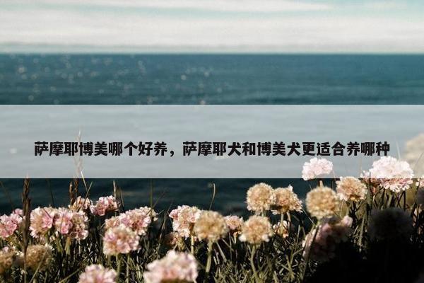 萨摩耶博美哪个好养，萨摩耶犬和博美犬更适合养哪种