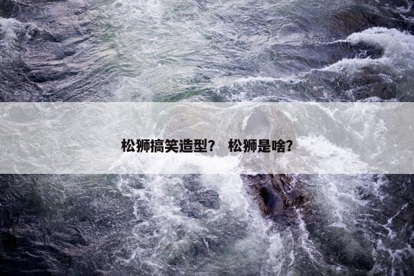 松狮搞笑造型？ 松狮是啥？