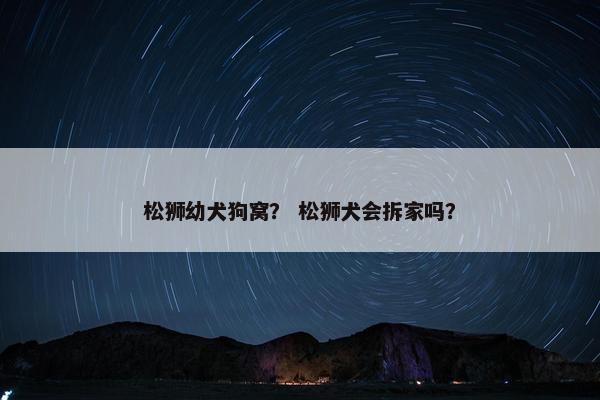 松狮幼犬狗窝？ 松狮犬会拆家吗？