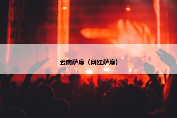 云南萨摩（网红萨摩）