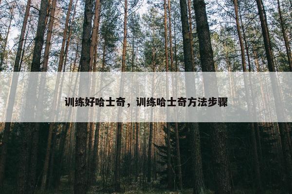 训练好哈士奇，训练哈士奇方法步骤