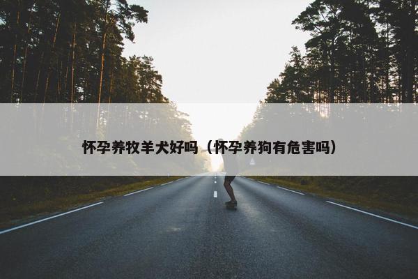 怀孕养牧羊犬好吗（怀孕养狗有危害吗）