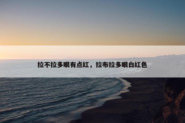 拉不拉多眼有点红，拉布拉多眼白红色