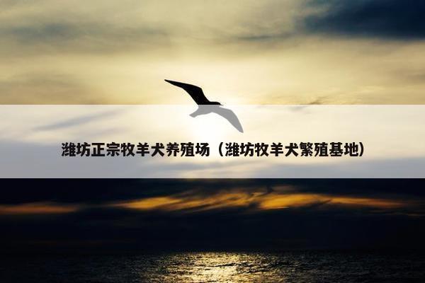 潍坊正宗牧羊犬养殖场（潍坊牧羊犬繁殖基地）