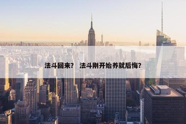 法斗回来？ 法斗刚开始养就后悔？