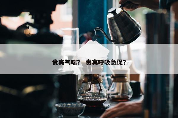 贵宾气喘？ 贵宾呼吸急促？