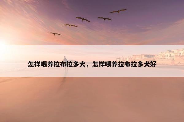 怎样喂养拉布拉多犬，怎样喂养拉布拉多犬好