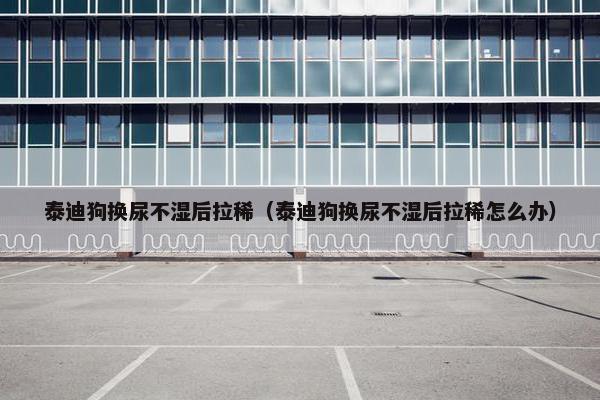 泰迪狗换尿不湿后拉稀（泰迪狗换尿不湿后拉稀怎么办）
