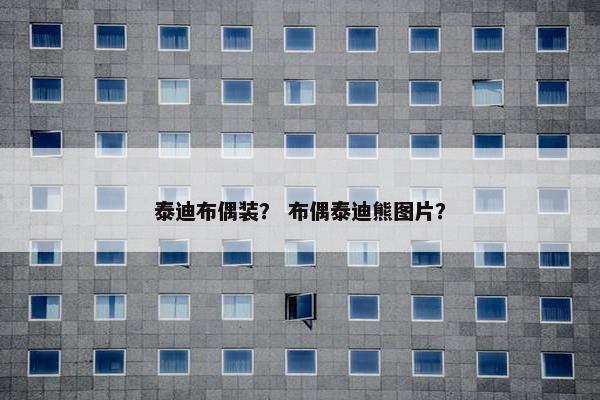 泰迪布偶装？ 布偶泰迪熊图片？