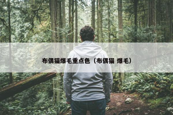 布偶猫爆毛重点色（布偶猫 爆毛）
