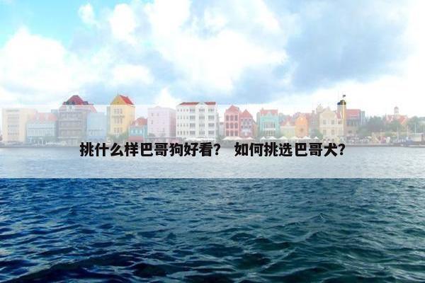 挑什么样巴哥狗好看？ 如何挑选巴哥犬？