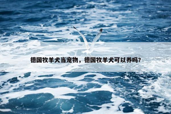 德国牧羊犬当宠物，德国牧羊犬可以养吗?