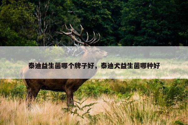 泰迪益生菌哪个牌子好，泰迪犬益生菌哪种好