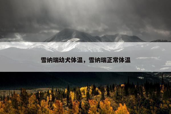 雪纳瑞幼犬体温，雪纳瑞正常体温
