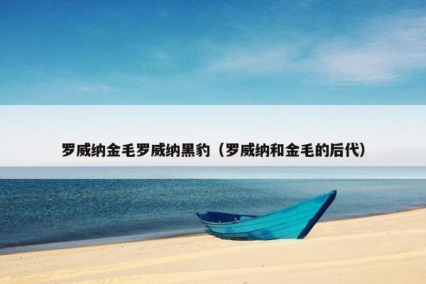 罗威纳金毛罗威纳黑豹（罗威纳和金毛的后代）