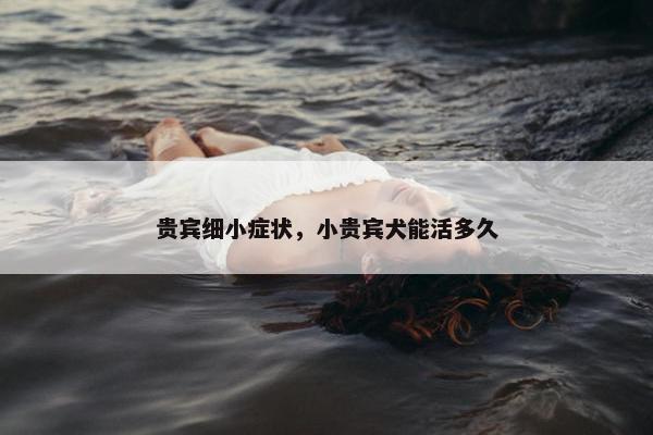 贵宾细小症状，小贵宾犬能活多久