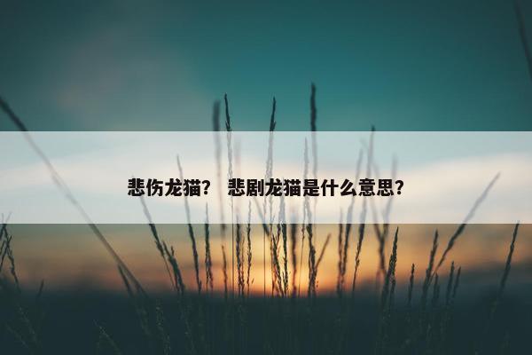悲伤龙猫？ 悲剧龙猫是什么意思？