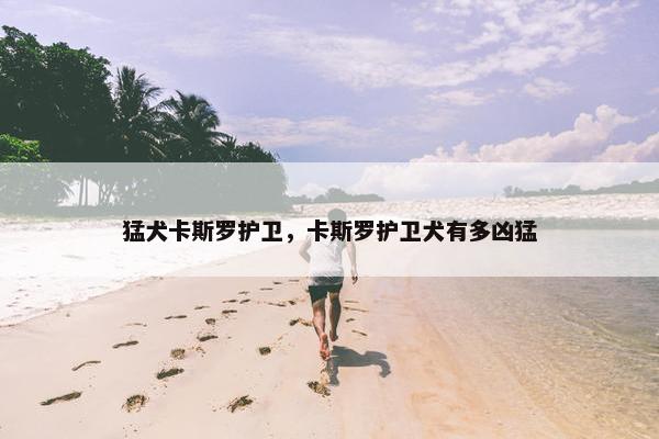 猛犬卡斯罗护卫，卡斯罗护卫犬有多凶猛