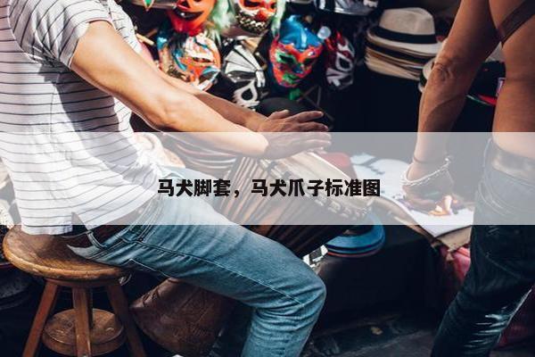 马犬脚套，马犬爪子标准图