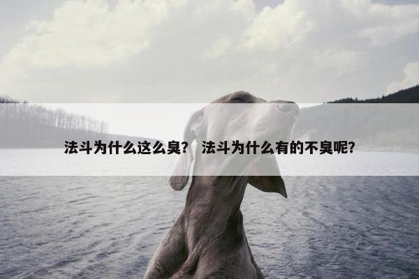 法斗为什么这么臭？ 法斗为什么有的不臭呢？