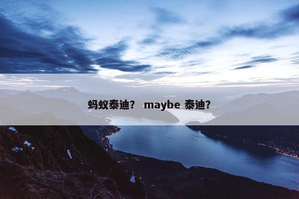 蚂蚁泰迪？ maybe 泰迪？
