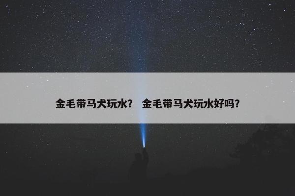 金毛带马犬玩水？ 金毛带马犬玩水好吗？