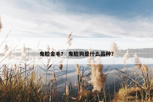 鬼脸金毛？ 鬼脸狗是什么品种？