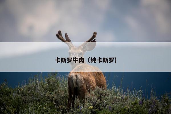 卡斯罗牛肉（纯卡斯罗）