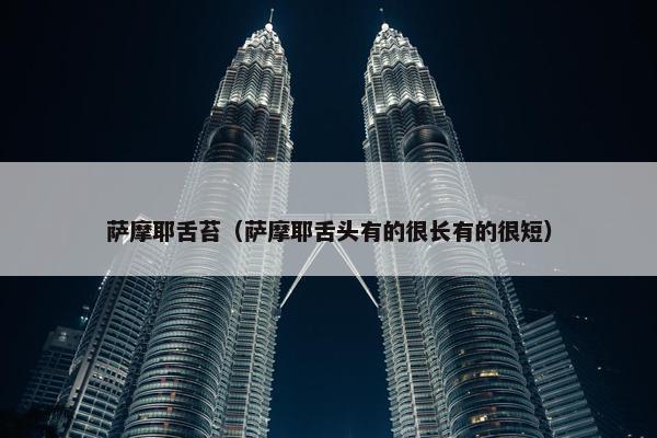 萨摩耶舌苔（萨摩耶舌头有的很长有的很短）