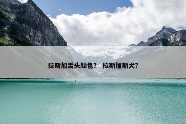 拉斯加舌头颜色？ 拉斯加斯犬？