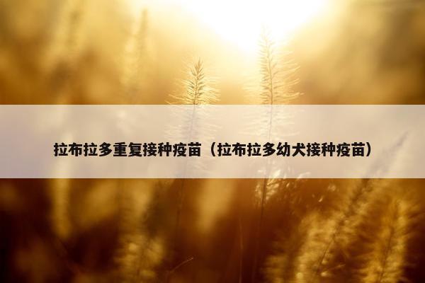 拉布拉多重复接种疫苗（拉布拉多幼犬接种疫苗）
