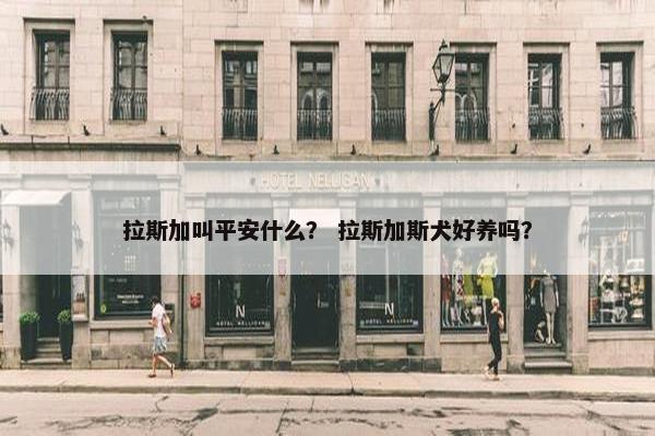 拉斯加叫平安什么？ 拉斯加斯犬好养吗？
