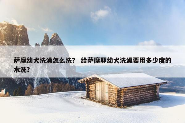 萨摩幼犬洗澡怎么洗？ 给萨摩耶幼犬洗澡要用多少度的水洗？