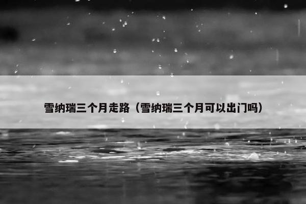 雪纳瑞三个月走路（雪纳瑞三个月可以出门吗）