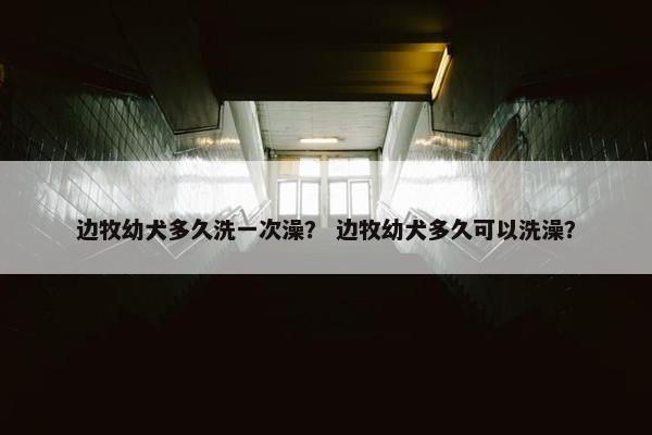 边牧幼犬多久洗一次澡？ 边牧幼犬多久可以洗澡？
